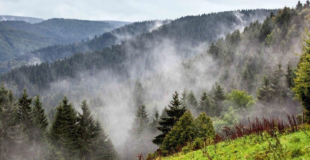 Thüringer Schiefergebirge