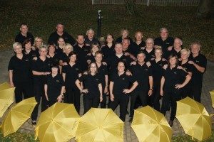 Liedertafel 1963 e.V. Münchenbernsdorf